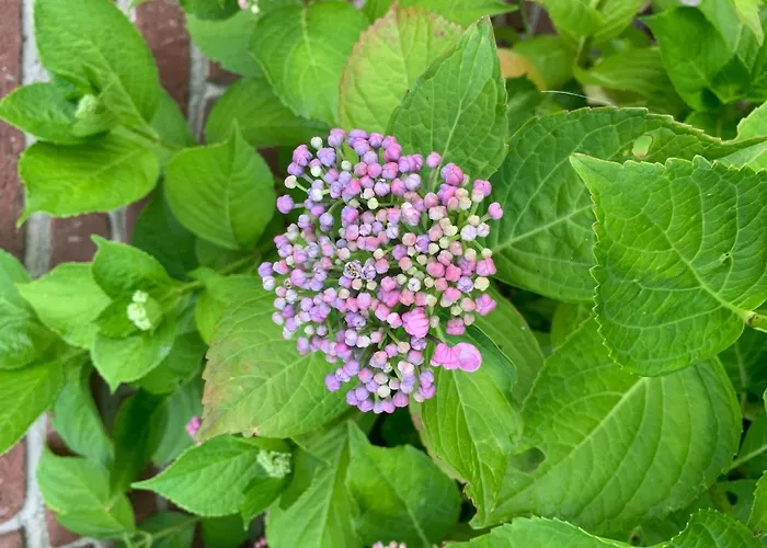 Blinkfueer Apartamento